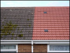 new roof coated in broughty ferry