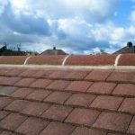 RIdges Pointed in Leven